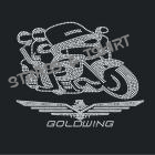 Moto goldwing 1800 - M17