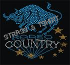 T-shirt Rodeo Country en strass C2